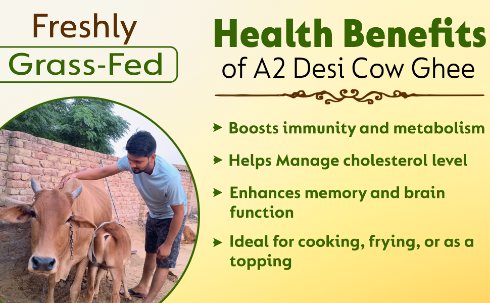 Mukunda Naturals A2 Gir Cow Ghee | Pure and Traditional Bilona Method Desi Cow Ghee | Grass Fed and Nutrient Rich A2 Ghee for Cooking and Ayurveda | Glass Bottle (500ML)